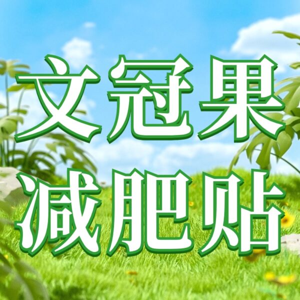 文冠果减肥保健凝胶贴